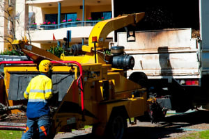 Leading B2B Tree Service Company