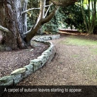 HERITAGE SEED BANK and OPEN GARDEN