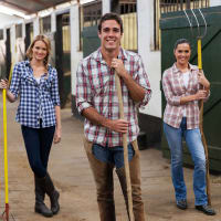 PRICE CUT. PROFITABLE, FUNDED QLD RTO. UNDER MANAGEMENT & LONG REGO (REF: 1444)