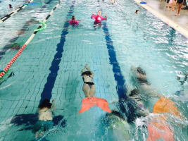 Chukgynpua3bsxuvr7vd