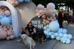 Cioacqjqheh9owsnukb6