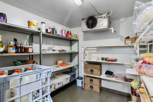 Ciyns4t2wlphiidvryza