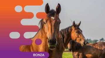 Cmyzkfvschii8rysqei7