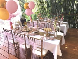 Kids Party Entertainment Business For Sale