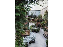 Boutique Plant / Garden Nursery & Giftware Store  Creative Lifestyle Business | Sydney