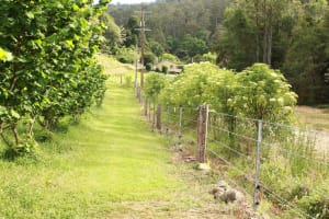 Sustainable Hazelnut & Agritourism Business Opportunity