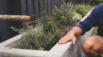 Vendor Finance Available - Geelong Concrete Business