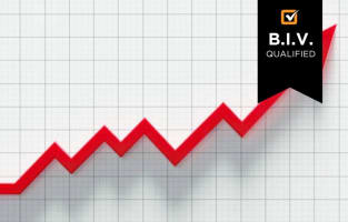 Specialist Infrastructure Services - $600k EBIT - NZ