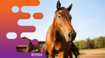 36071 Profitable Livestock Product Brand - National Distribution Network