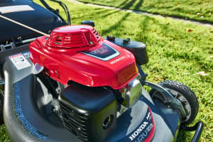 Crhydlqjpg5cu18xut31