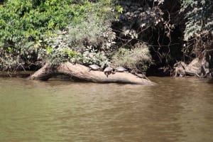 The closest Wet Tropics World Heritage river-based experience to Cairns