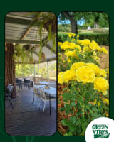 GREEN VIBES CAFE - DURAL 100+ Seatings, Profitable Business for sale