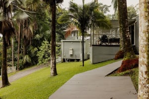 Daintree Rainforest Luxe Eco Lodge For Sale