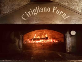 Cvfdlcmgsdkswdevnn1g