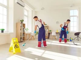 Growing Cleaning Business with 250+ Active Clients