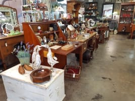 Antique & Vintage Store in Samford - 12 Years of Success