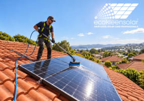 Solar Panel Cleaning Franchise for Sale