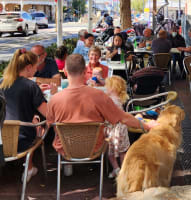 LEASEHOLD CAFE - MAIN STREET OF BUNBURY