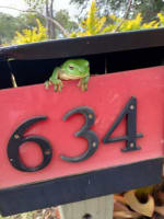 NATURES ENGINEERING WONDER PLANT