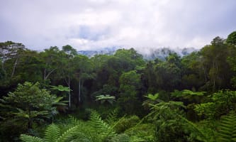 ROSE GUMS WILDERNESS RETREAT - 2893MF