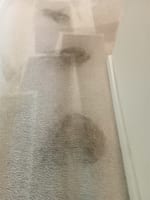 URGENT SALE- Profitable Owner-Operator Carpet Cleaning Business Growth Potential