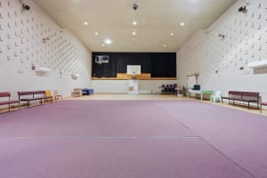 Vacant Community Hall Mutiple Use STCA Zoned Village Freehold o/o $250K 1.05 acres