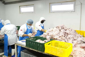Fresh Meat Processing & Distribution Business