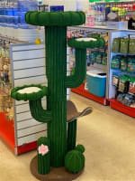 Northam's Only Pet Store For Sale