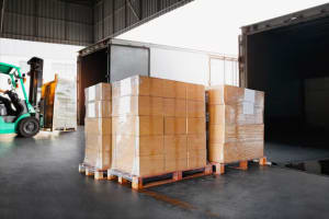 Largest and Most Dominant Fast-moving Consumer Goods (FMCG) Wholesaler and Distributor #410