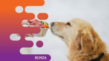 Ddq3fi6o8adnsegwtqx0