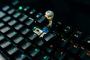 *SOLD* Computer Hardware Supplier, Servicing and Managing IT Support [24...