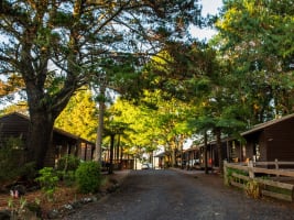 STRATEGIC FREEHOLD TOURISM PARK IN HIGH-GROWTH NATURE DESTINATION - 222CPF