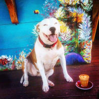 Dfjom6aziwo5tynhmxfa