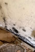 Queensland Pest Inspections & Reports Gold Coast