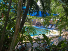 Rare lifestyle opportunity on Magnetic Island