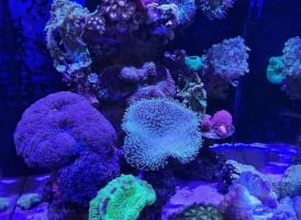 Dlhrojfve4x0c04o2vjj