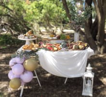 THE LATIN BITE EVERYTHING GRAZING PICNICS CELEBRATORY EVENTS