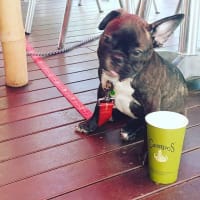 Iconic, Seaside Cafe in Paradise