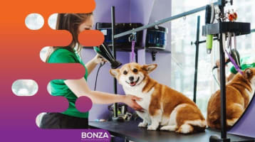 36635 Profitable Mobile Dog Grooming Business - Open To Offers