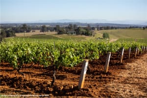 Media & Marketing Newcastle and The Hunter