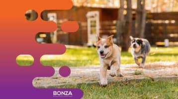 Dpmbf7h82m0q5qar7wwm