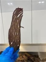 Established Jerky Business, well-positioned for massive growth