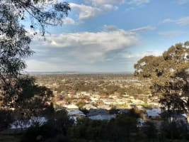 Specialist boutique Strata Management agency in Wagga Wagga