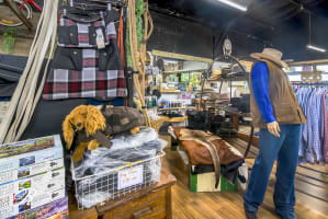 Dsbgipu3n3grdbnxe8t4