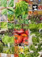 Established Specialty Asian Grocer | Revenue $420k