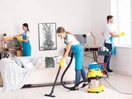Growing Cleaning Business with 250+ Active Clients
