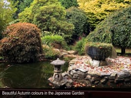 HERITAGE SEED BANK and OPEN GARDEN