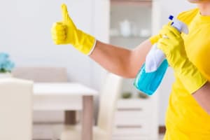 HOME CLEANING FRANCHISES - CANNING VALE AND HILLS