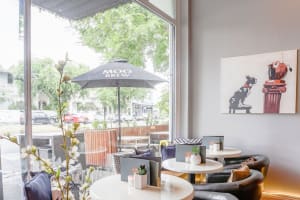 UNDER CONTRACT - The Tipsy Cow