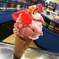 THE BEACH HOUSE LOLLY SHOP FOR SALE - POA